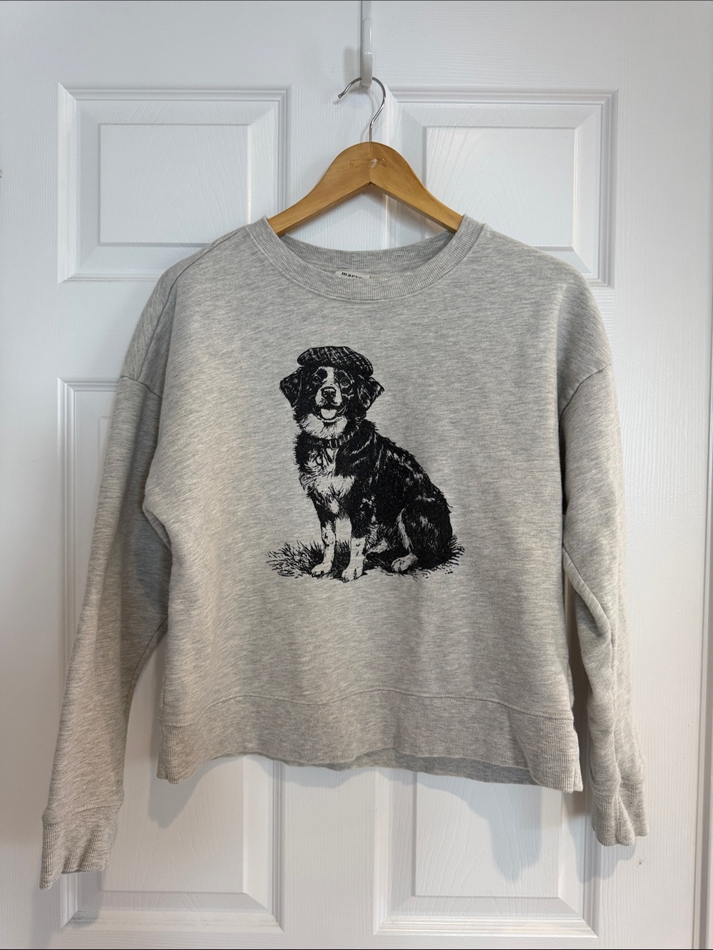 Maeve Best In Show Dog Sweatshirt - S